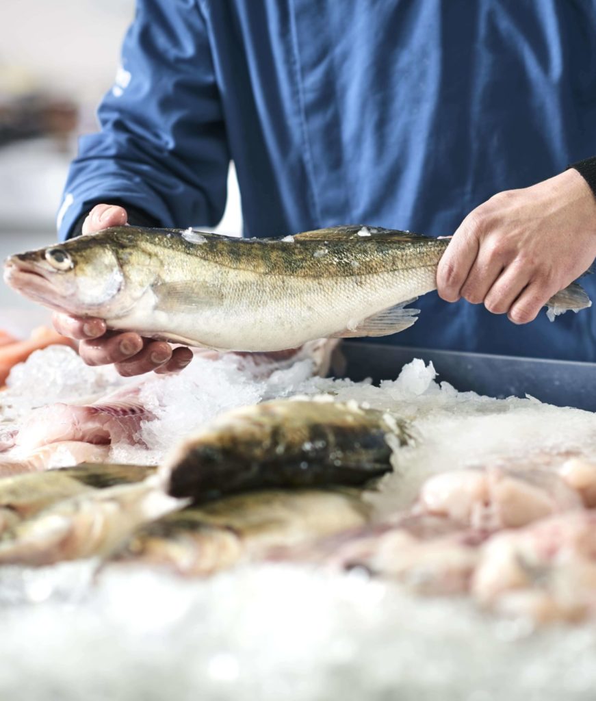 PickOne – AdobeStock.com _180992518-38-min (1)