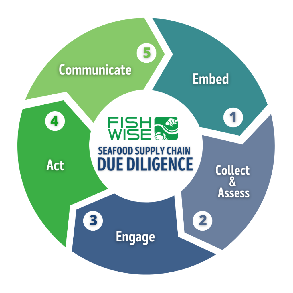 Due Diligence