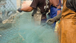 The United 6: Demanding Justice for Fishworkers Around the World