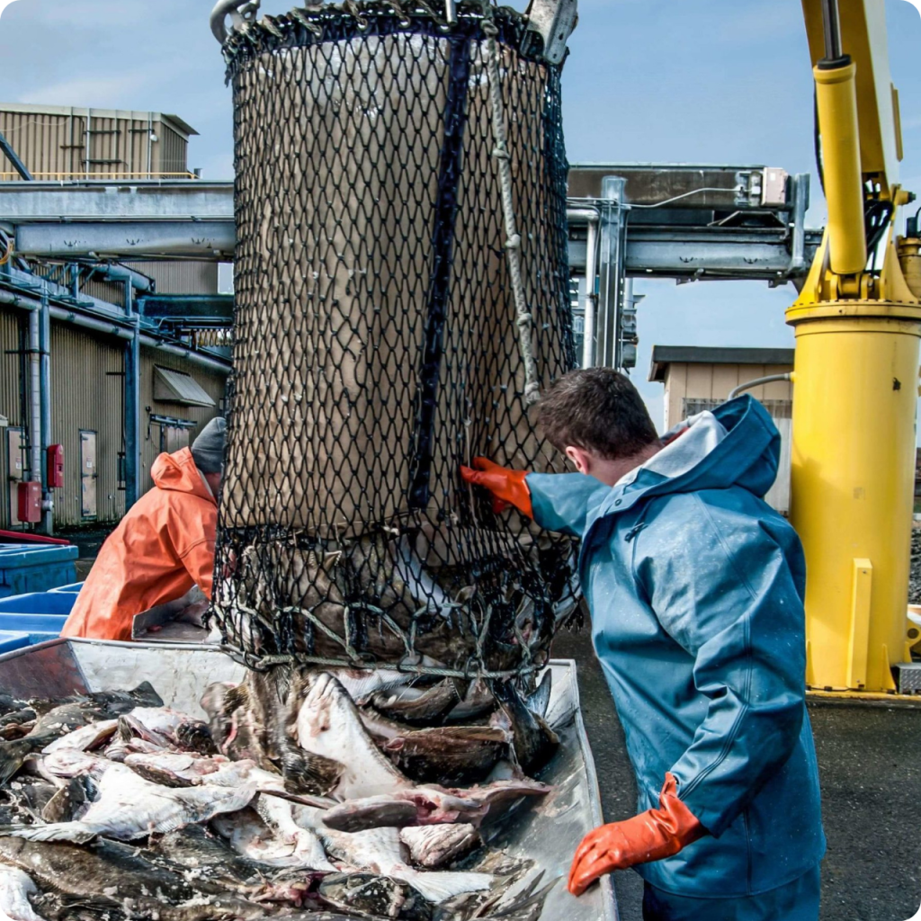 fisheries