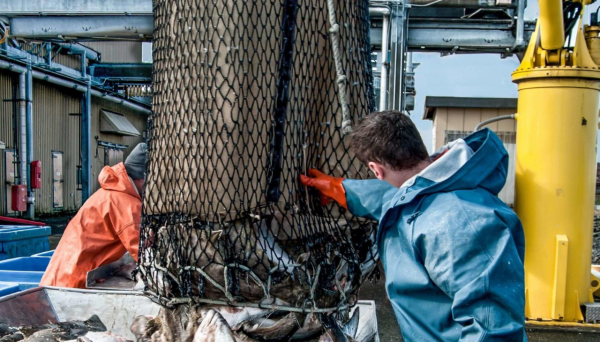 fisheries-2